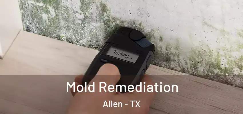  Mold Remediation Allen - TX
