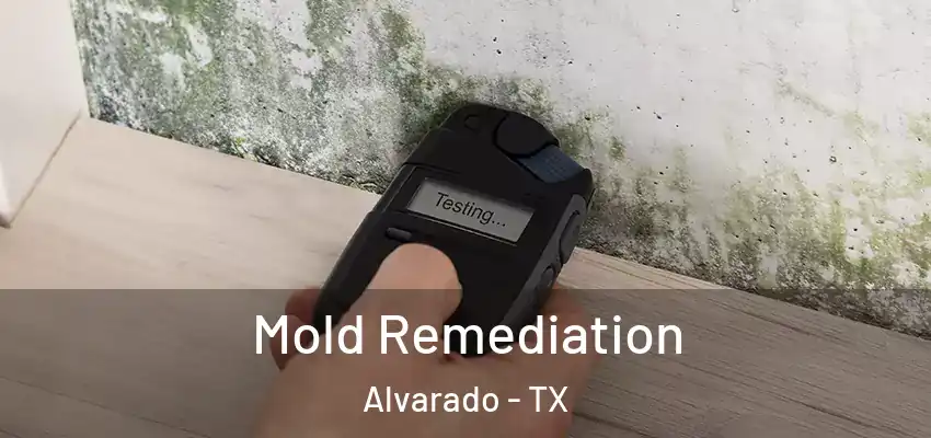  Mold Remediation Alvarado - TX