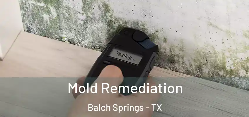  Mold Remediation Balch Springs - TX