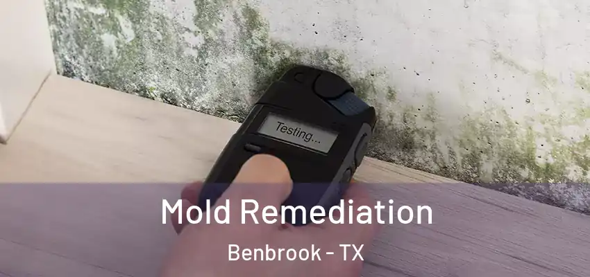 Mold Remediation Benbrook - TX