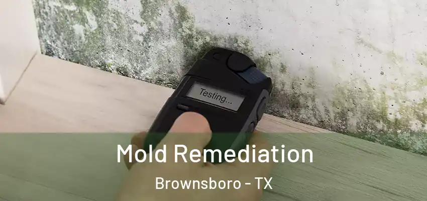 Mold Remediation Brownsboro - TX