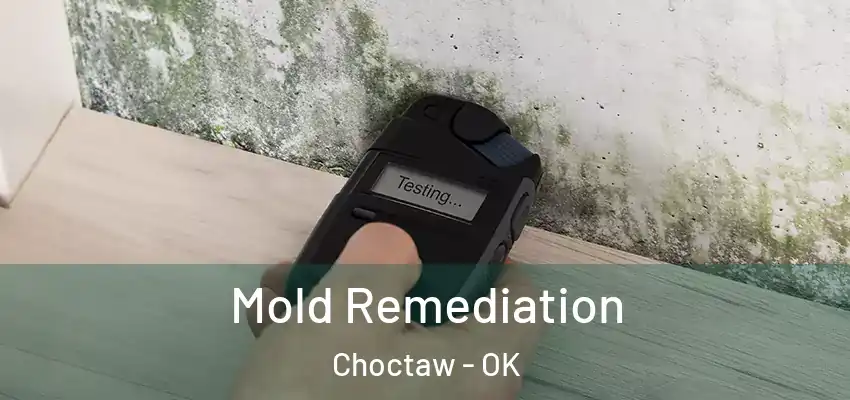 Mold Remediation Choctaw - OK