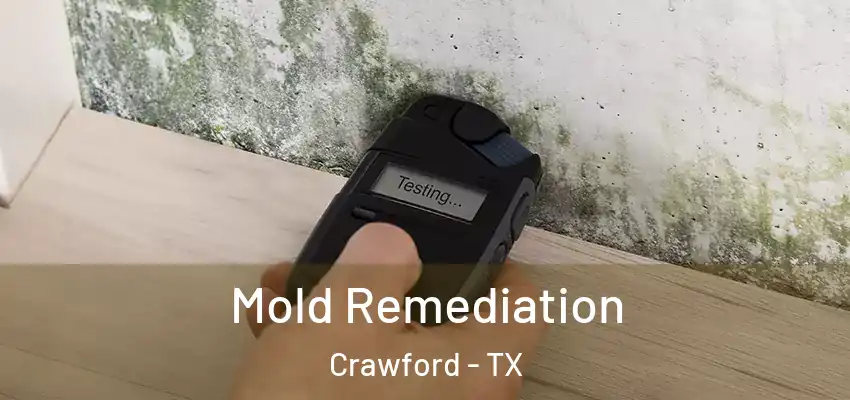  Mold Remediation Crawford - TX