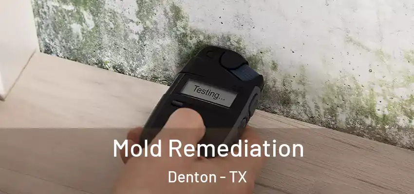  Mold Remediation Denton - TX