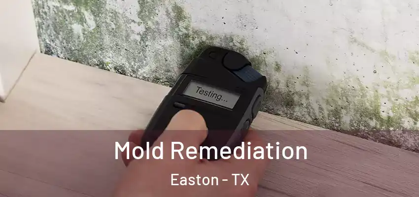 Mold Remediation Easton - TX