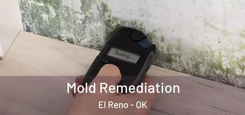  Mold Remediation El Reno - OK