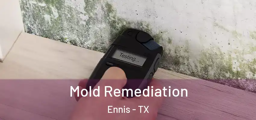  Mold Remediation Ennis - TX