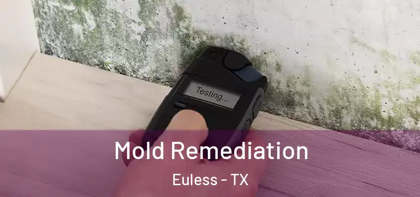 Mold Remediation Euless - TX