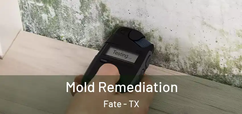  Mold Remediation Fate - TX