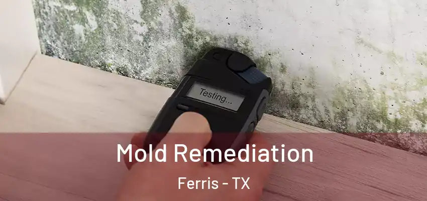  Mold Remediation Ferris - TX