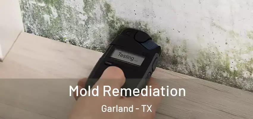 Mold Remediation Garland - TX
