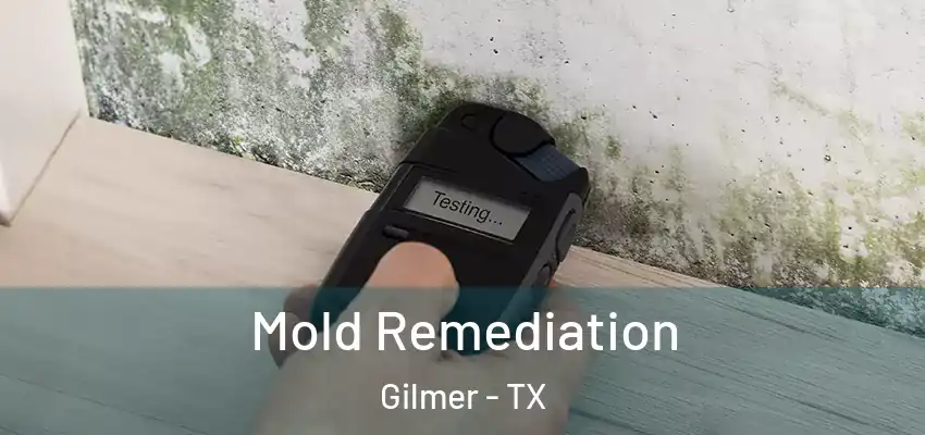 Mold Remediation Gilmer - TX