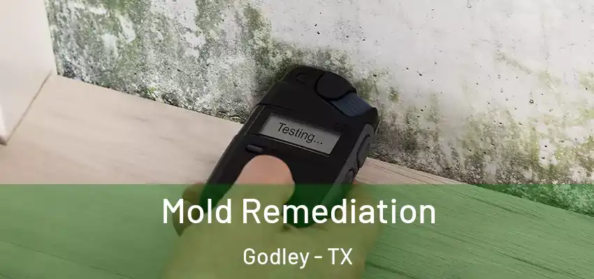 Mold Remediation Godley - TX