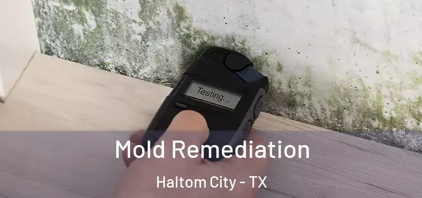  Mold Remediation Haltom City - TX