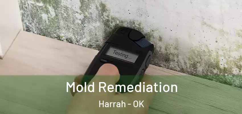 Mold Remediation Harrah - OK