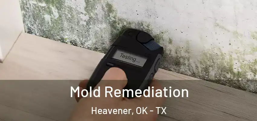  Mold Remediation Heavener, OK - TX