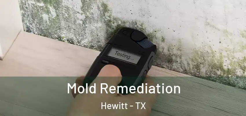 Mold Remediation Hewitt - TX