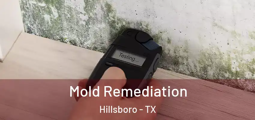  Mold Remediation Hillsboro - TX