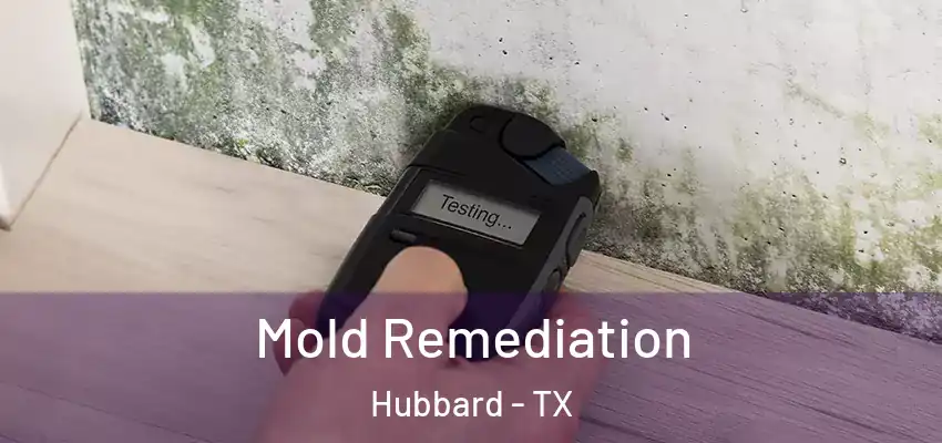  Mold Remediation Hubbard - TX
