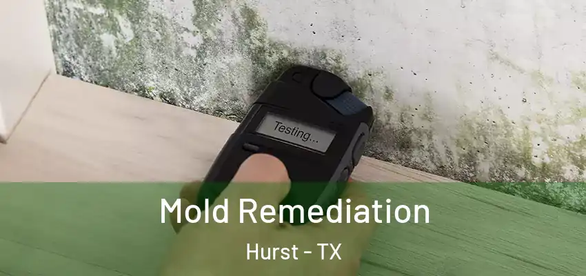 Mold Remediation Hurst - TX