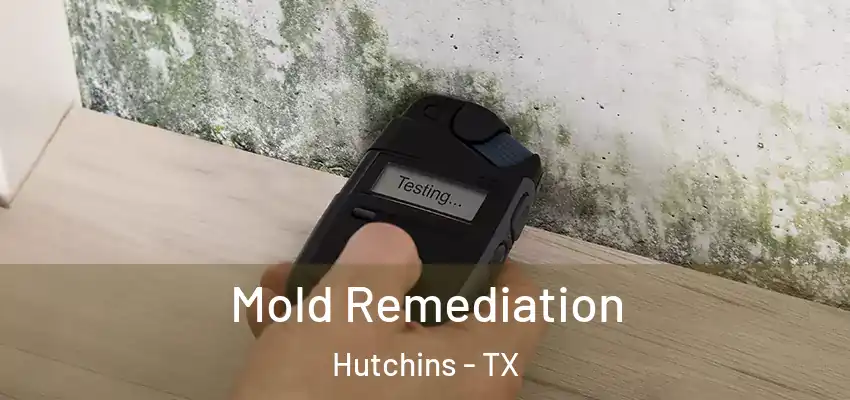  Mold Remediation Hutchins - TX
