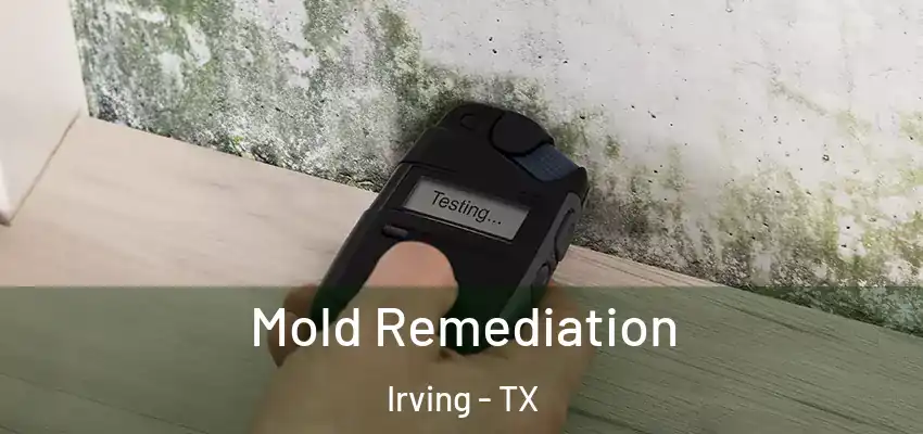 Mold Remediation Irving - TX