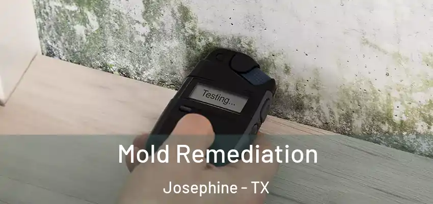  Mold Remediation Josephine - TX