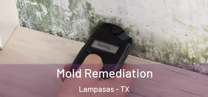  Mold Remediation Lampasas - TX