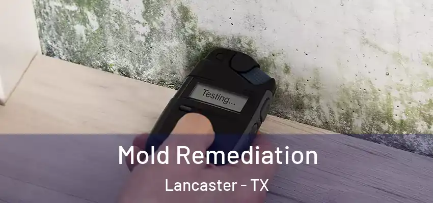 Mold Remediation Lancaster - TX