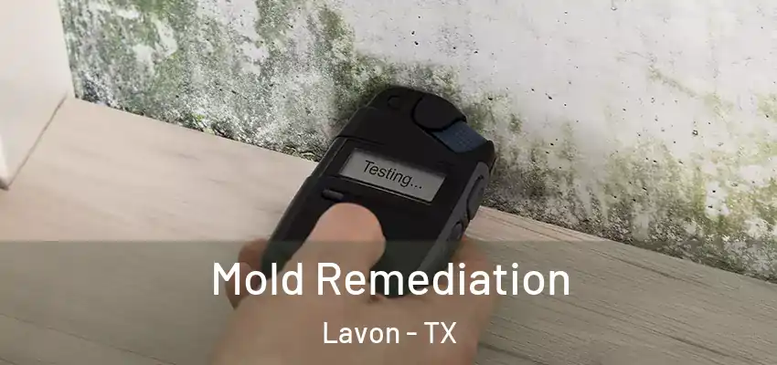  Mold Remediation Lavon - TX