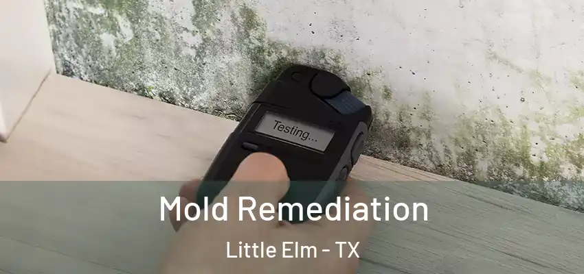  Mold Remediation Little Elm - TX
