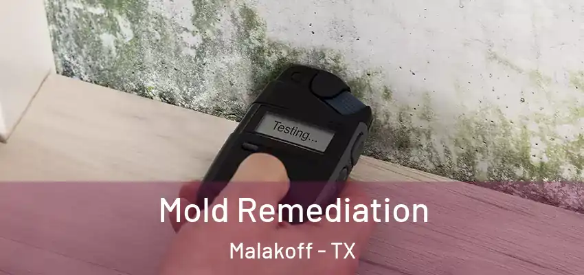 Mold Remediation Malakoff - TX