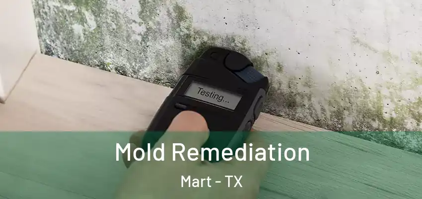 Mold Remediation Mart - TX