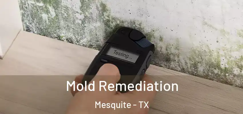  Mold Remediation Mesquite - TX