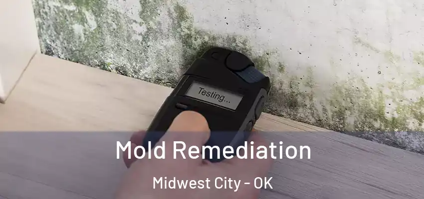  Mold Remediation Midwest City - OK