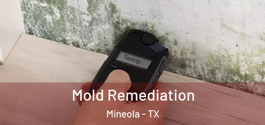 Mold Remediation Mineola - TX