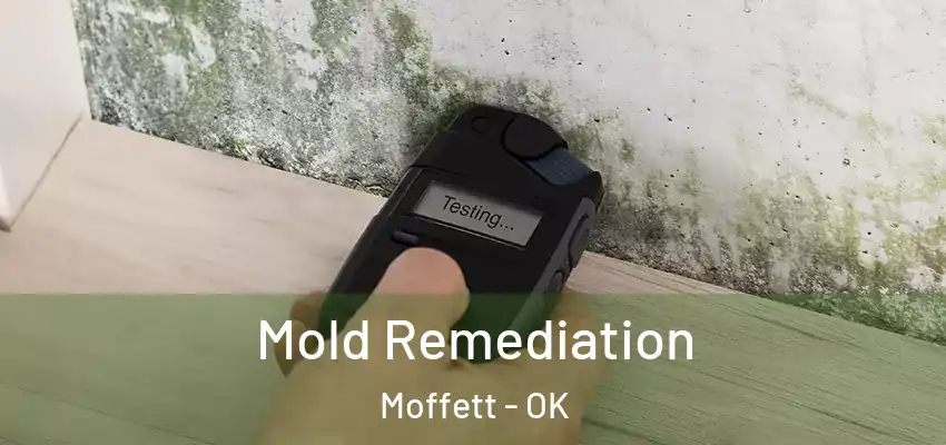 Mold Remediation Moffett - OK