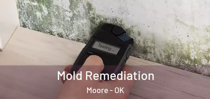 Mold Remediation Moore - OK