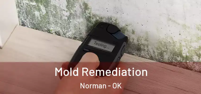  Mold Remediation Norman - OK