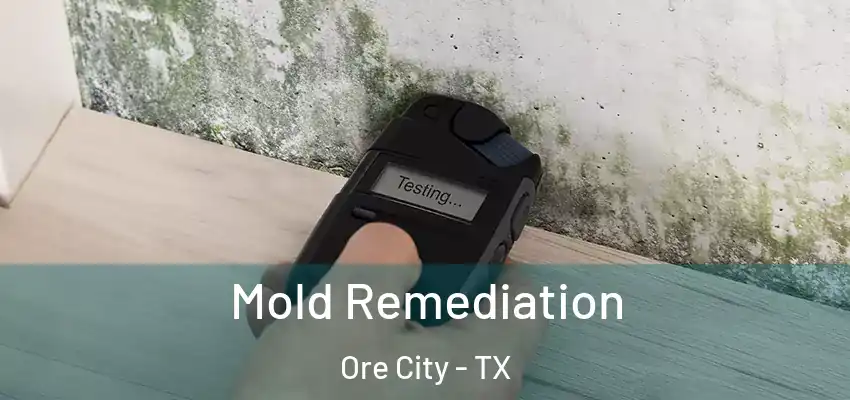 Mold Remediation Ore City - TX