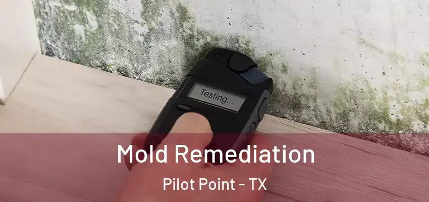 Mold Remediation Pilot Point - TX