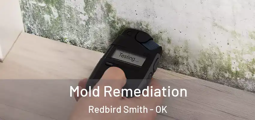 Mold Remediation Redbird Smith - OK