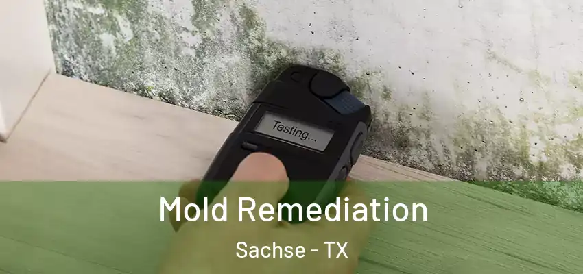  Mold Remediation Sachse - TX