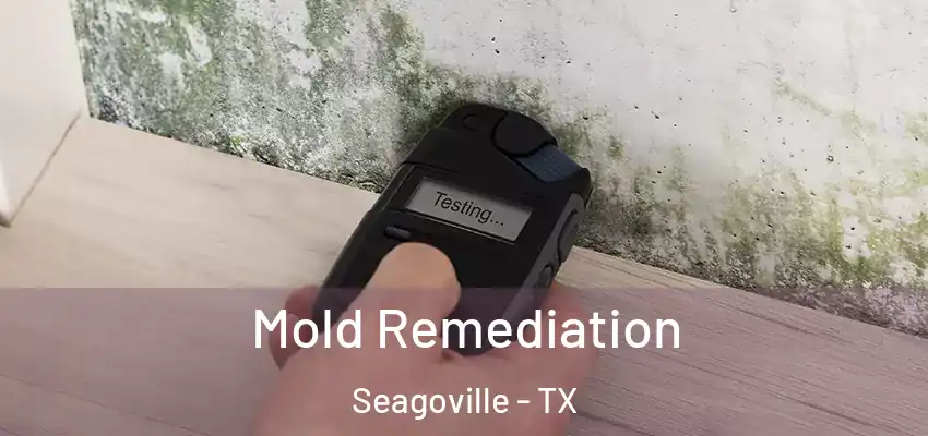  Mold Remediation Seagoville - TX