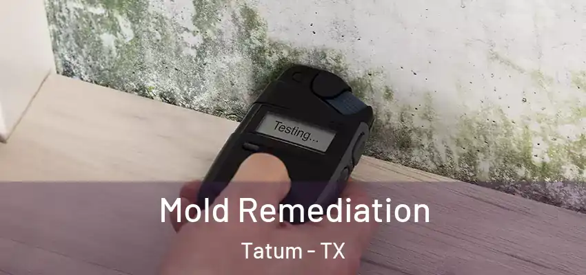  Mold Remediation Tatum - TX