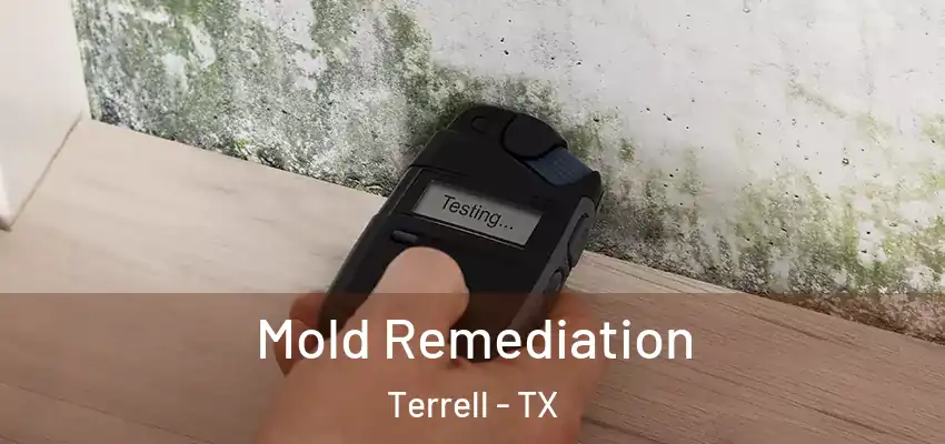 Mold Remediation Terrell - TX