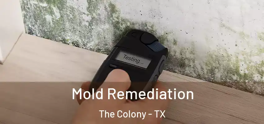 Mold Remediation The Colony - TX