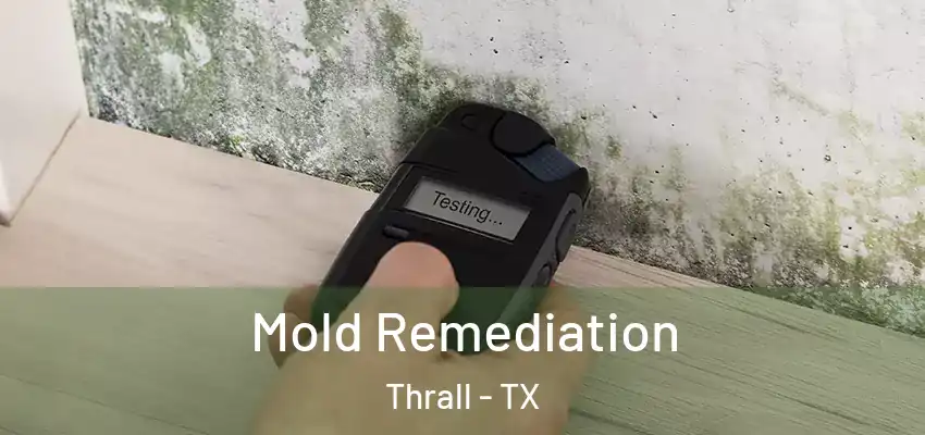  Mold Remediation Thrall - TX