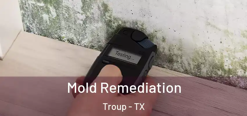 Mold Remediation Troup - TX