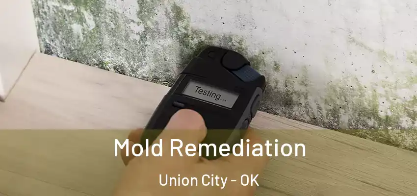  Mold Remediation Union City - OK